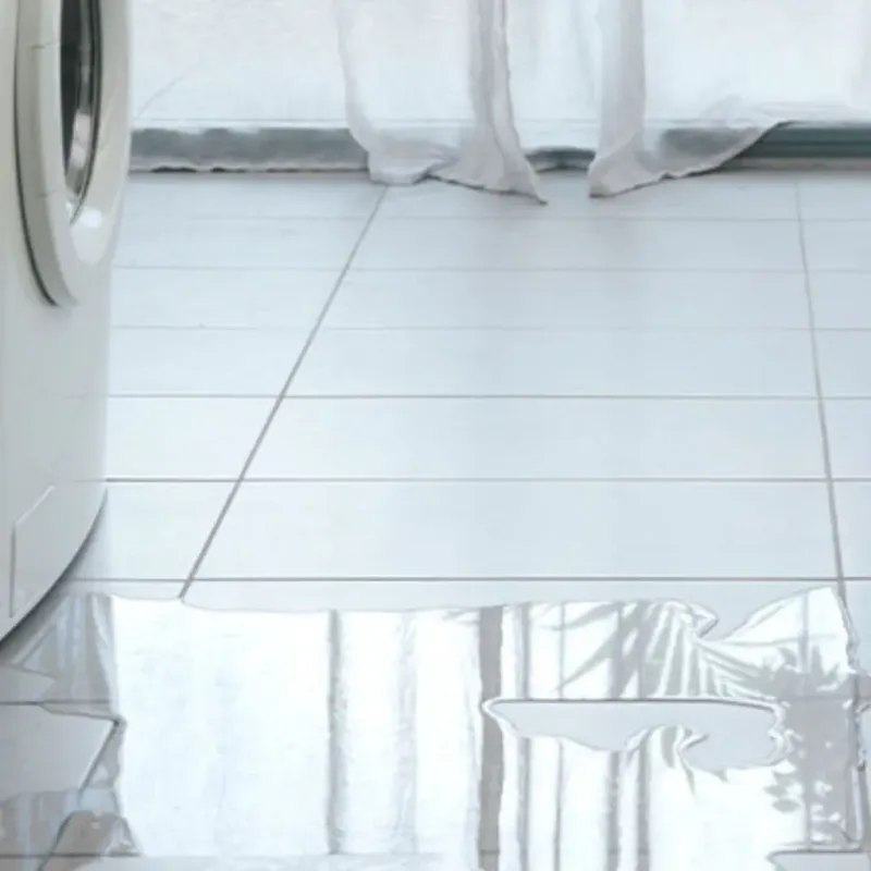 Appliance Leak Cleanup in Charlestown, MD